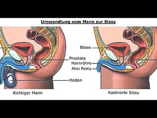 Sissy Geschlechtsumwandlung